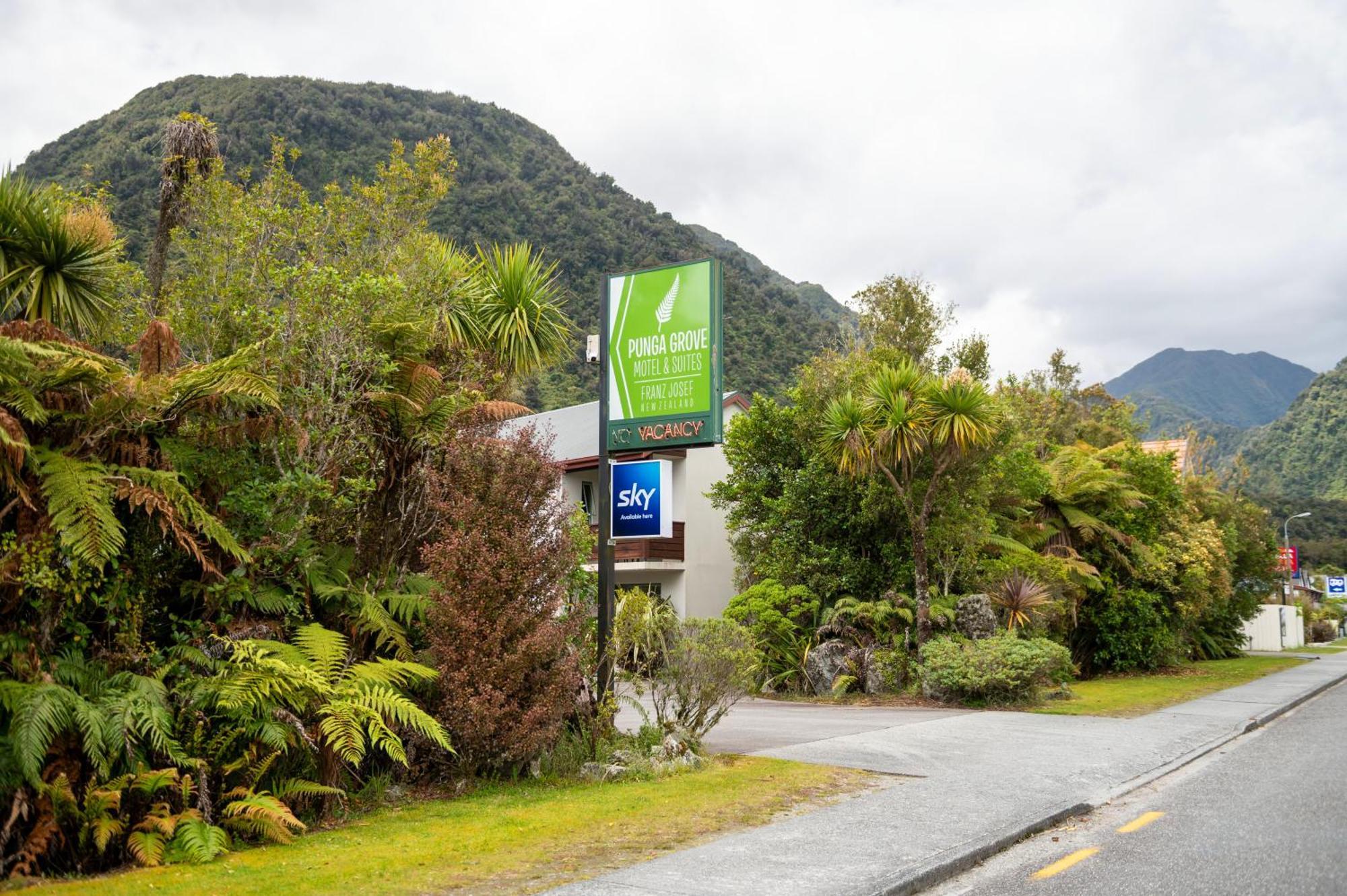 Motel Punga Grove à Franz Josef Extérieur photo