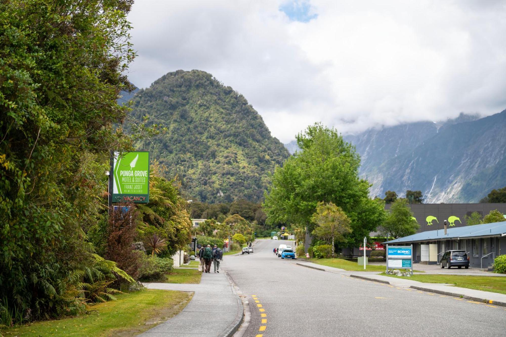 Motel Punga Grove à Franz Josef Extérieur photo